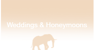 Weddings and Honeymoon